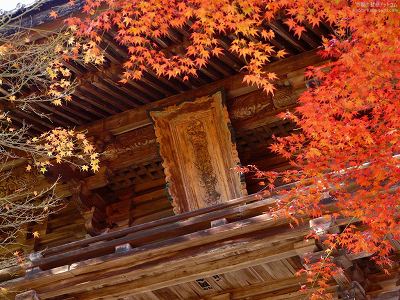 �_�쎛09�y�_�E�����[�h����ꍇ�͉E�̉摜�T�C�Y���N���b�N���Ă��������z