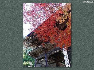 �_�쎛12�y�_�E�����[�h����ꍇ�͉E�̉摜�T�C�Y���N���b�N���Ă��������z