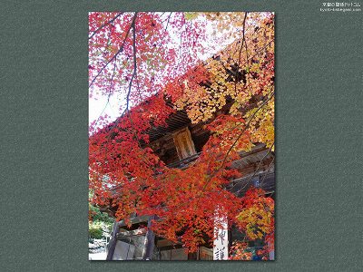 �_�쎛14�y�_�E�����[�h����ꍇ�͉E�̉摜�T�C�Y���N���b�N���Ă��������z