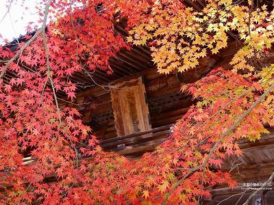 �_�쎛15�y�_�E�����[�h����ꍇ�͉E�̉摜�T�C�Y���N���b�N���Ă��������z