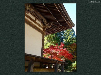 �_�쎛18�y�_�E�����[�h����ꍇ�͉E�̉摜�T�C�Y���N���b�N���Ă��������z