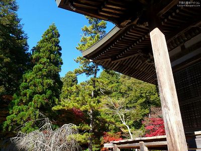 �_�쎛20�y�_�E�����[�h����ꍇ�͉E�̉摜�T�C�Y���N���b�N���Ă��������z