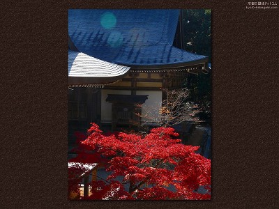 �_�쎛21�y�_�E�����[�h����ꍇ�͉E�̉摜�T�C�Y���N���b�N���Ă��������z