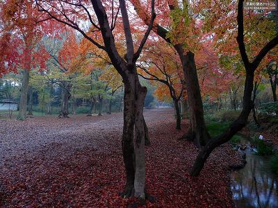 �����_��01�y�_�E�����[�h����ꍇ�͉E�̉摜�T�C�Y���N���b�N���Ă��������z