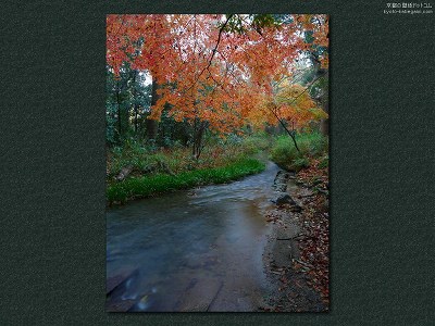 �����_��04�y�_�E�����[�h����ꍇ�͉E�̉摜�T�C�Y���N���b�N���Ă��������z