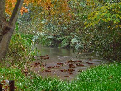 �����_��06�y�_�E�����[�h����ꍇ�͉E�̉摜�T�C�Y���N���b�N���Ă��������z