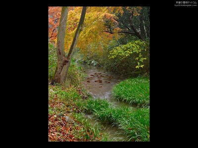 �����_��07�y�_�E�����[�h����ꍇ�͉E�̉摜�T�C�Y���N���b�N���Ă��������z