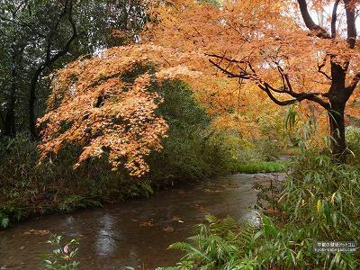 �����_��08�y�_�E�����[�h����ꍇ�͉E�̉摜�T�C�Y���N���b�N���Ă��������z