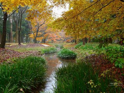 �����_��09�y�_�E�����[�h����ꍇ�͉E�̉摜�T�C�Y���N���b�N���Ă��������z