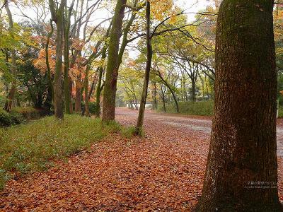 �����_��12�y�_�E�����[�h����ꍇ�͉E�̉摜�T�C�Y���N���b�N���Ă��������z