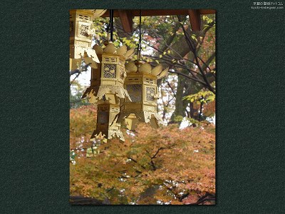 �����_��13�y�_�E�����[�h����ꍇ�͉E�̉摜�T�C�Y���N���b�N���Ă��������z