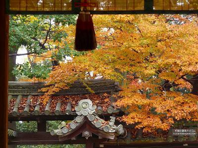 �����_��15�y�_�E�����[�h����ꍇ�͉E�̉摜�T�C�Y���N���b�N���Ă��������z