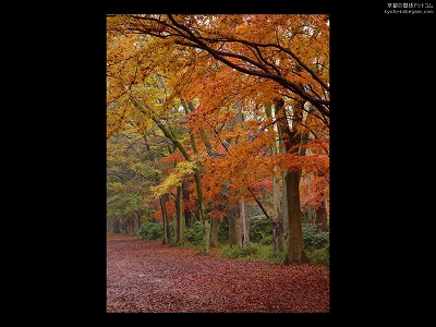 �����_��18�y�_�E�����[�h����ꍇ�͉E�̉摜�T�C�Y���N���b�N���Ă��������z