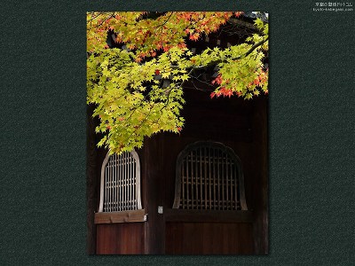 ��O��02�y�_�E�����[�h����ꍇ�͉E�̉摜�T�C�Y���N���b�N���Ă��������z