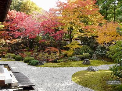 ��O��05�y�_�E�����[�h����ꍇ�͉E�̉摜�T�C�Y���N���b�N���Ă��������z