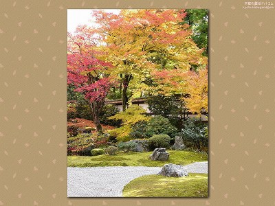 ��O��06�y�_�E�����[�h����ꍇ�͉E�̉摜�T�C�Y���N���b�N���Ă��������z