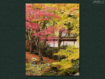 ��O��07�y�_�E�����[�h����ꍇ�͉E�̉摜�T�C�Y���N���b�N���Ă��������z