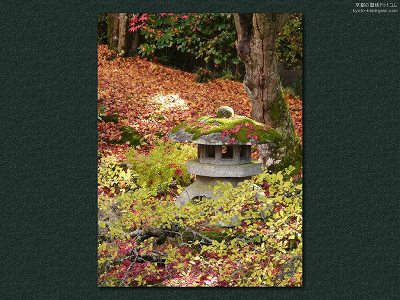 ��O��08�y�_�E�����[�h����ꍇ�͉E�̉摜�T�C�Y���N���b�N���Ă��������z