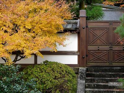 ��O��10�y�_�E�����[�h����ꍇ�͉E�̉摜�T�C�Y���N���b�N���Ă��������z