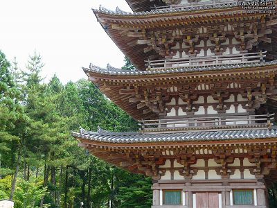 ��펛01�y�_�E�����[�h����ꍇ�͉E�̉摜�T�C�Y���N���b�N���Ă��������z