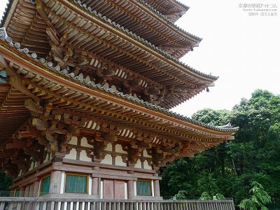 ��펛04�y�_�E�����[�h����ꍇ�͉E�̉摜�T�C�Y���N���b�N���Ă��������z