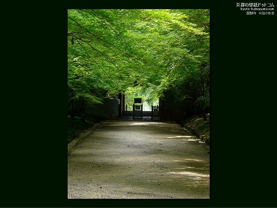 ��펛08�y�_�E�����[�h����ꍇ�͉E�̉摜�T�C�Y���N���b�N���Ă��������z