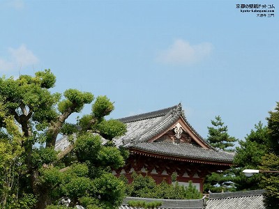 �哿��01�y�_�E�����[�h����ꍇ�͉E�̉摜�T�C�Y���N���b�N���Ă��������z