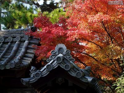 �哿��04�y�_�E�����[�h����ꍇ�͉E�̉摜�T�C�Y���N���b�N���Ă��������z