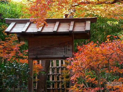 ��@�@02�y�_�E�����[�h����ꍇ�͉E�̉摜�T�C�Y���N���b�N���Ă��������z