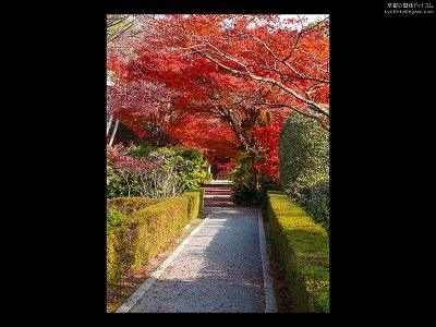 ��ʉ@01�y�_�E�����[�h����ꍇ�͉E�̉摜�T�C�Y���N���b�N���Ă��������z