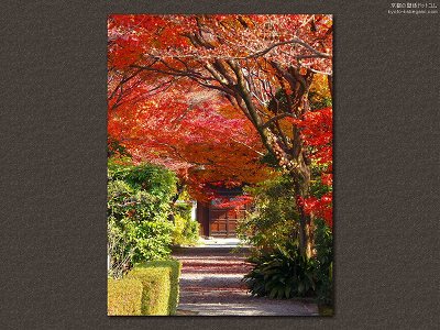 ��ʉ@02�y�_�E�����[�h����ꍇ�͉E�̉摜�T�C�Y���N���b�N���Ă��������z