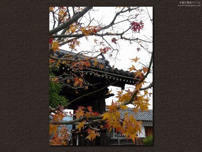 �k��02�y�_�E�����[�h����ꍇ�͉E�̉摜�T�C�Y���N���b�N���Ă��������z