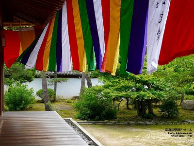 �q�ω@08�y�_�E�����[�h����ꍇ�͉E�̉摜�T�C�Y���N���b�N���Ă��������z