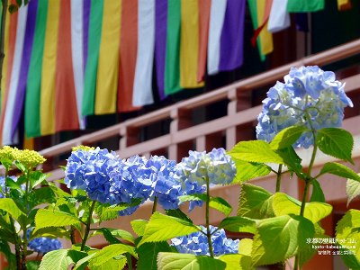 �q�ω@10�y�_�E�����[�h����ꍇ�͉E�̉摜�T�C�Y���N���b�N���Ă��������z