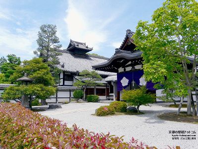 �q�ω@11�y�_�E�����[�h����ꍇ�͉E�̉摜�T�C�Y���N���b�N���Ă��������z