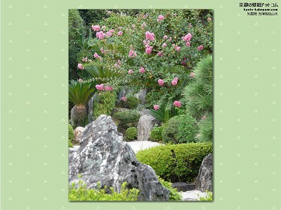 �m���@19�y�_�E�����[�h����ꍇ�͉E�̉摜�T�C�Y���N���b�N���Ă��������z