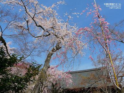 �V����01�y�_�E�����[�h����ꍇ�͉E�̉摜�T�C�Y���N���b�N���Ă��������z