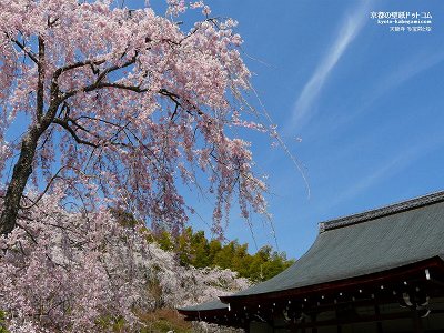 �V����02�y�_�E�����[�h����ꍇ�͉E�̉摜�T�C�Y���N���b�N���Ă��������z