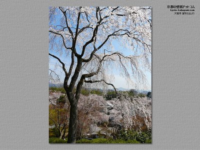 �V����03�y�_�E�����[�h����ꍇ�͉E�̉摜�T�C�Y���N���b�N���Ă��������z