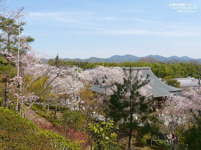 �V����04�y�_�E�����[�h����ꍇ�͉E�̉摜�T�C�Y���N���b�N���Ă��������z