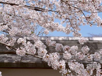 �V����05�y�_�E�����[�h����ꍇ�͉E�̉摜�T�C�Y���N���b�N���Ă��������z