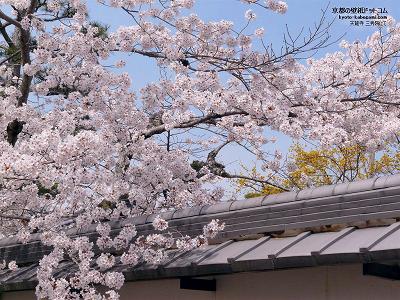 �V����06�y�_�E�����[�h����ꍇ�͉E�̉摜�T�C�Y���N���b�N���Ă��������z