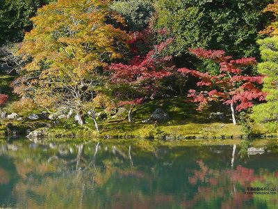 �V����07�y�_�E�����[�h����ꍇ�͉E�̉摜�T�C�Y���N���b�N���Ă��������z