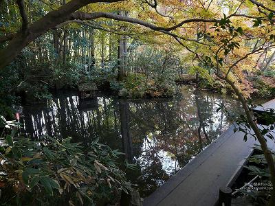 �V����01�y�_�E�����[�h����ꍇ�͉E�̉摜�T�C�Y���N���b�N���Ă��������z