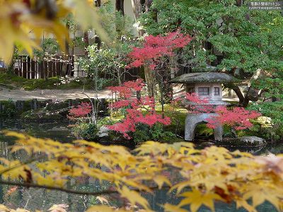 �V����02�y�_�E�����[�h����ꍇ�͉E�̉摜�T�C�Y���N���b�N���Ă��������z