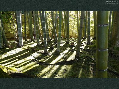 �V����04�y�_�E�����[�h����ꍇ�͉E�̉摜�T�C�Y���N���b�N���Ă��������z