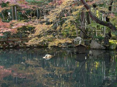 �V����05�y�_�E�����[�h����ꍇ�͉E�̉摜�T�C�Y���N���b�N���Ă��������z