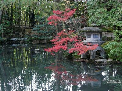 �V����09�y�_�E�����[�h����ꍇ�͉E�̉摜�T�C�Y���N���b�N���Ă��������z