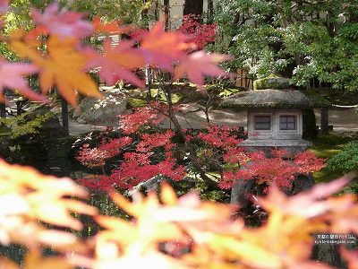 �V����10�y�_�E�����[�h����ꍇ�͉E�̉摜�T�C�Y���N���b�N���Ă��������z