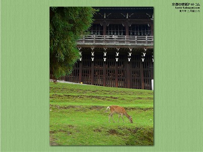 ���厛16�y�_�E�����[�h����ꍇ�͉E�̉摜�T�C�Y���N���b�N���Ă��������z